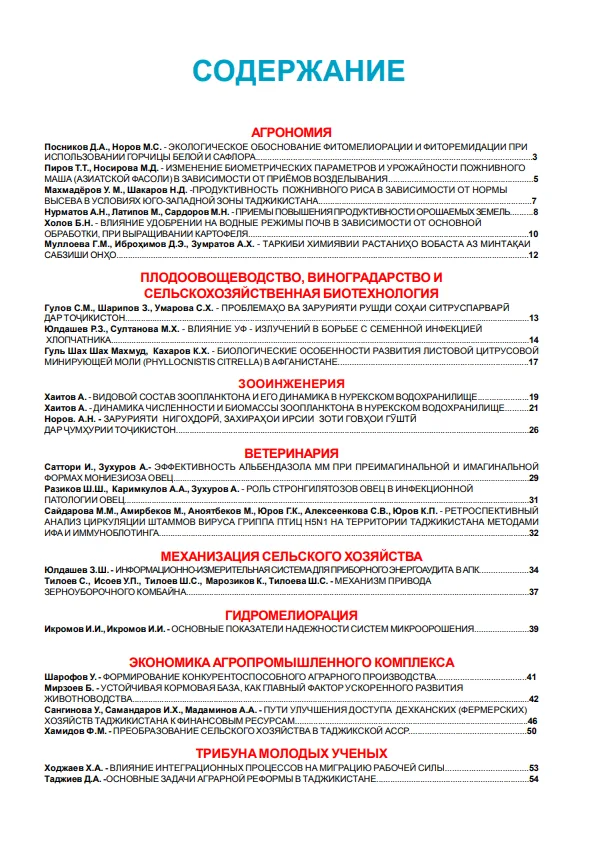 Кишоварз