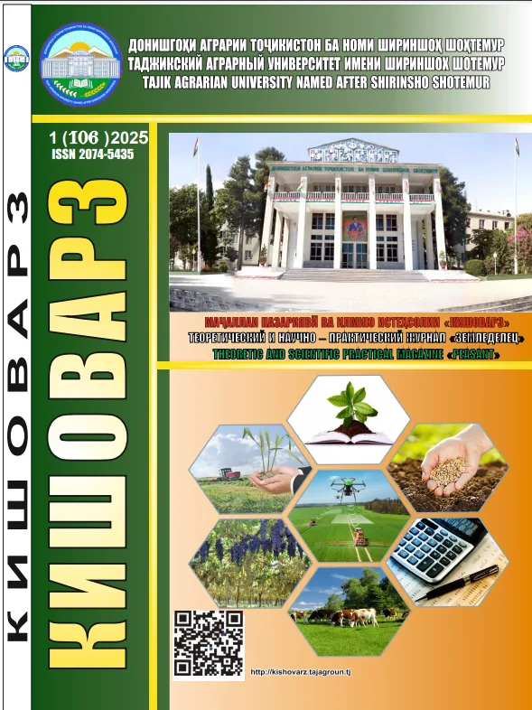 Кишоварз
